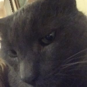 Meet your Posher, Holly